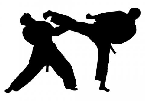 Taekwondo